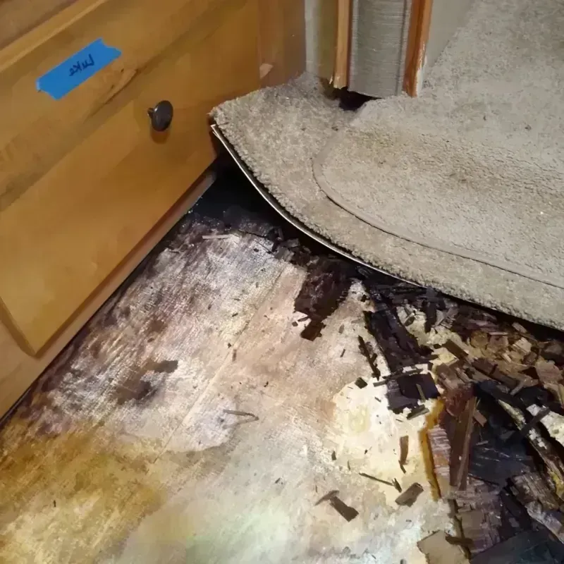 Wood Floor Water Damage in Grandwood Park, IL